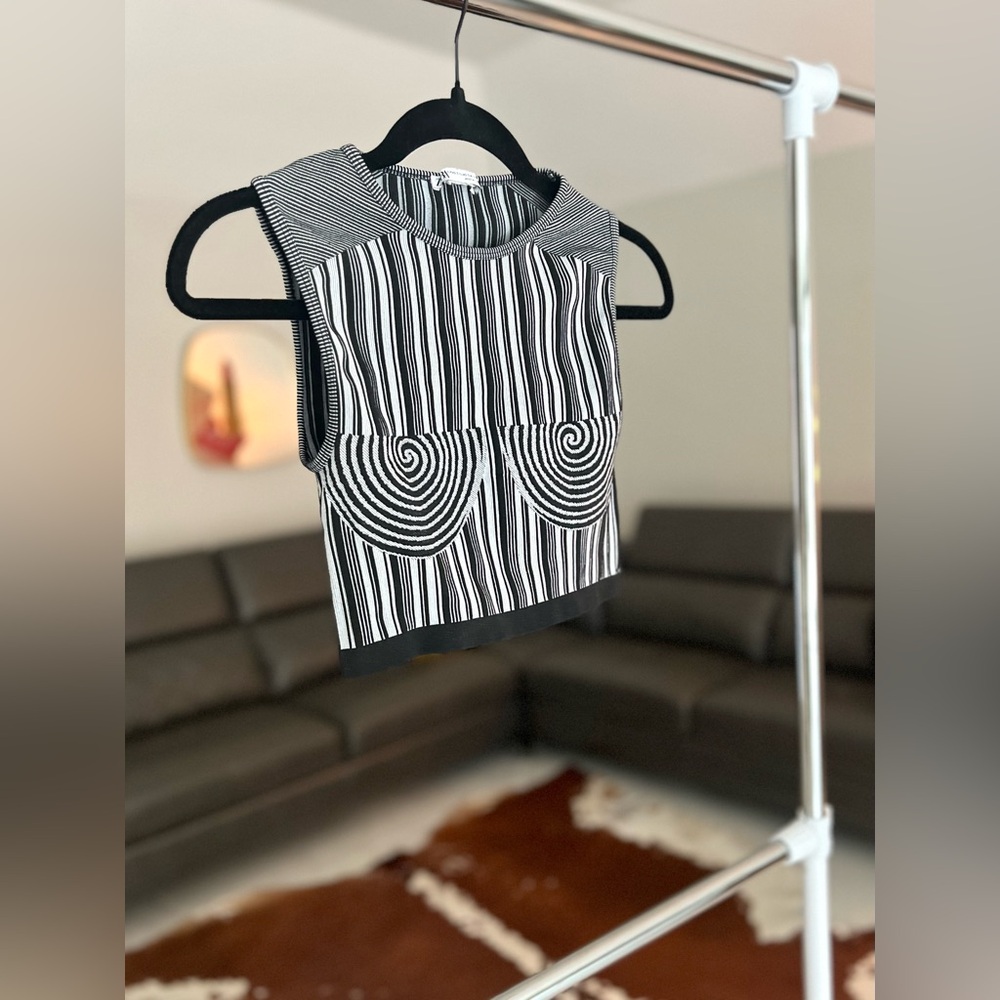 Zara Black and White Striped Crop Top Sz XS